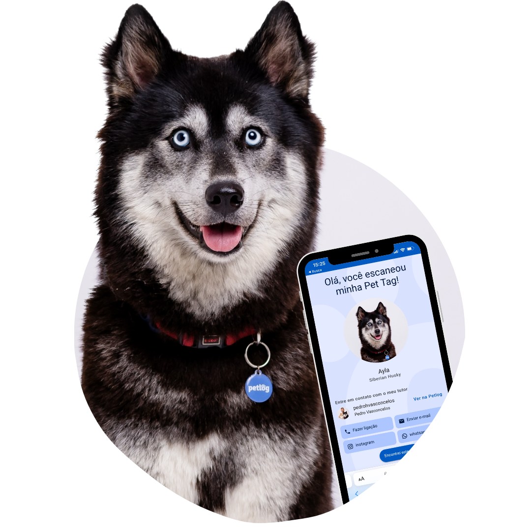 Pet tag image with app mockups
